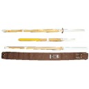 entre 1000 et 10 000<br />2 SHINAI Graphite